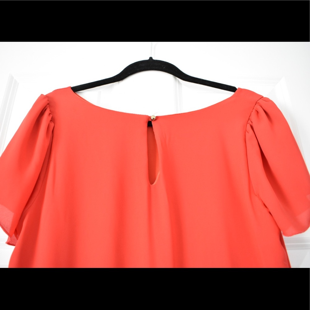 Francesca’s Shift Dress - Picture 3 of 3